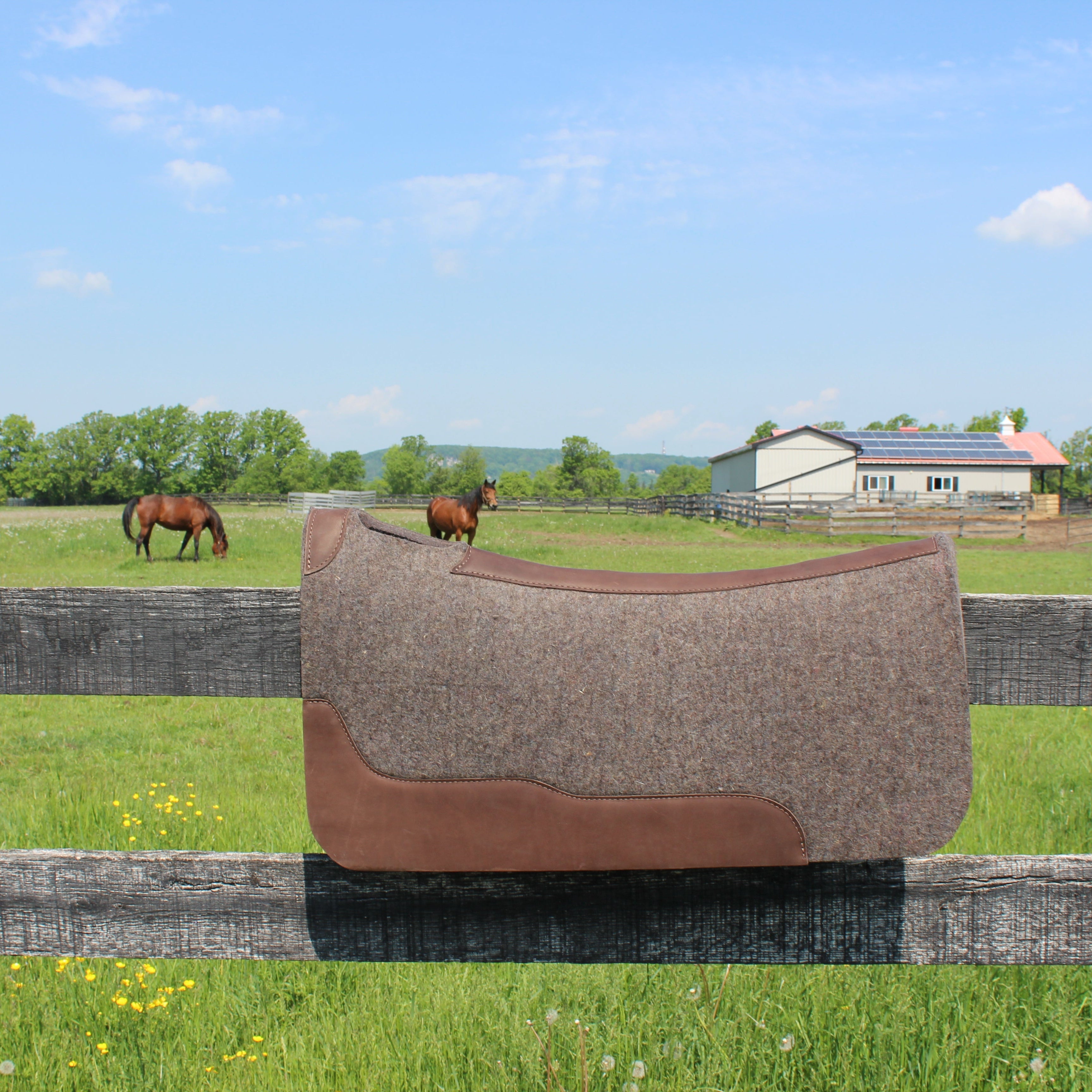 Tapis de selle en 2 pièces