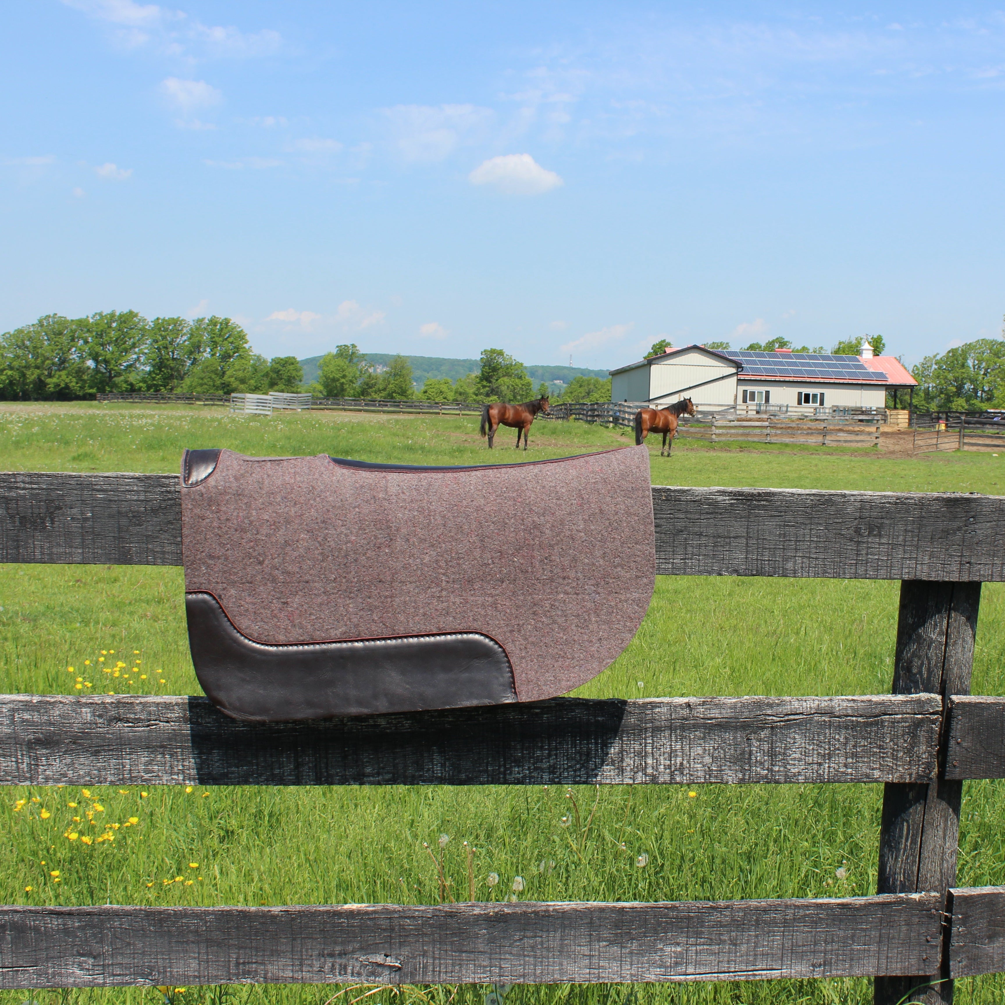 Tapis de selle en 2 pièces