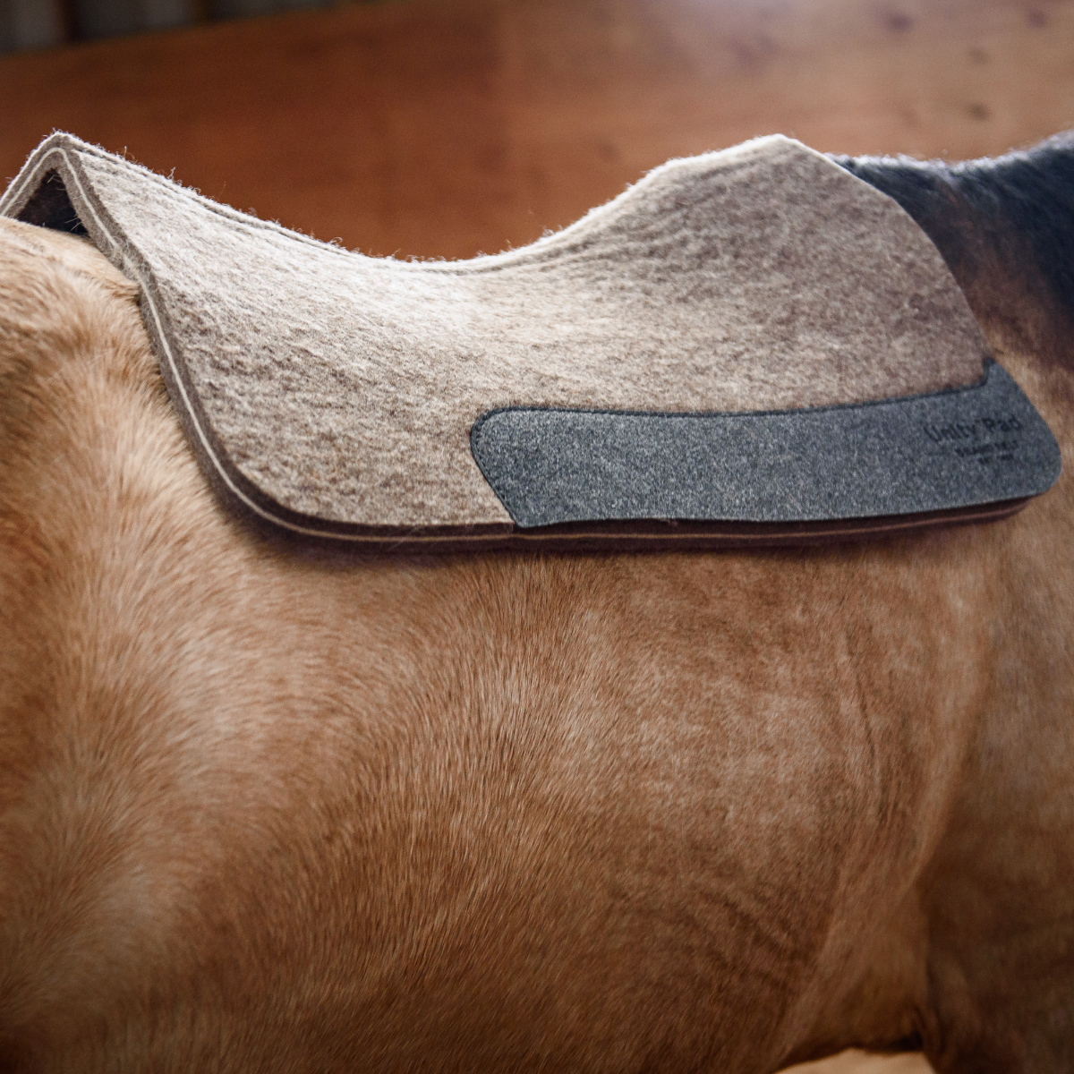 Unity® Pad – Tapis de selle monopièce