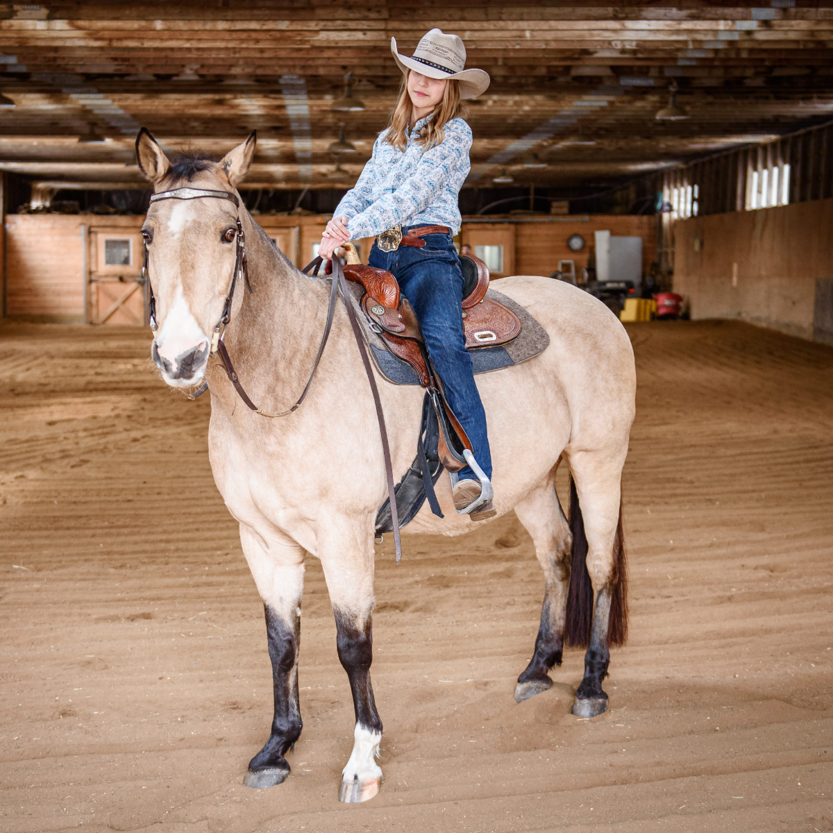 Unity® Pad – Tapis de selle monopièce